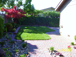 green lawn because of a Mountain View Pool Demolition