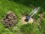 Sprinkler System