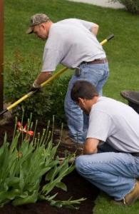 sprinkler repair and landscaping professionals